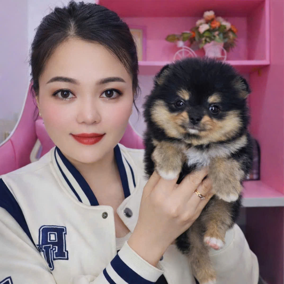 Chó Poodle - PM 15006